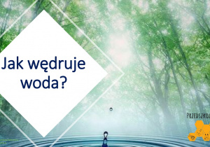 Jak wędruje woda?