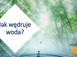 Jak wędruje woda?