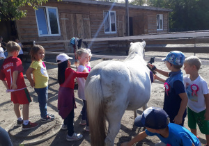 Dzieci głaszczą i czeszą konia