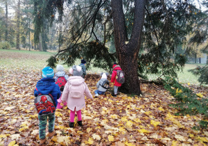 Dzieci obserwujące wiewiókę