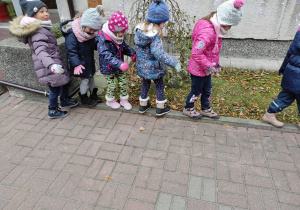 Motylki starają się, aby ich sprawność była jak najlepsza