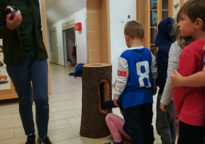 Dzieci zaglądające do dziupli w drzewie
