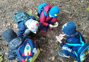 Dzieci zbierające materiał przyrodniczy