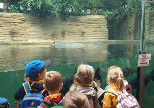 Dzieci obserwują hipopotama