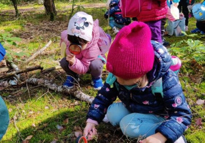 Dzieci obserwują przyrodę w lesie