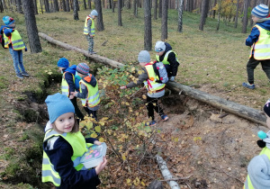 Dzieci prowadzą obserwacje w lesie