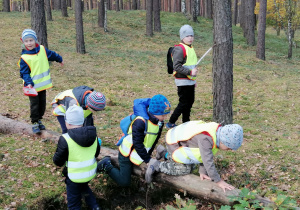 Dzieci prowadzą obserwacje w lesie