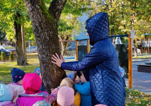 Dzieci poznają drzewa -obserwują korę
