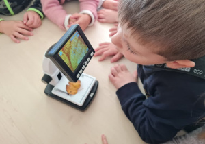 Dzieci obserwują przez mikroskop liście