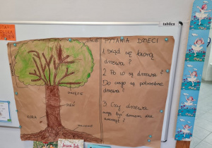 Dzieci poznają drzewa