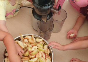 Przygotowujemy własny sok jabłkowy