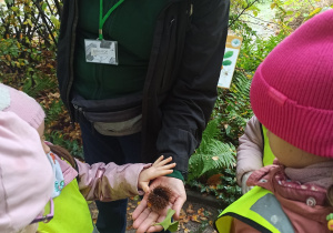 Dzieci uczestniczą w zajęciach w Ogrodzie Botanicznym