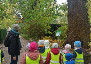 Dzieci uczestniczą w zajęciach w Ogrodzie Botanicznym