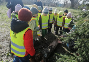 Dzieci uczestniczą w przyrodniczych warsztatach edukacyjnych w Pawilonie Edukacyjnym "Kamień"