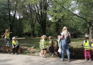 Dzieci uczestniczą w spacerze przyrodniczym w Parku Skaryszewskim