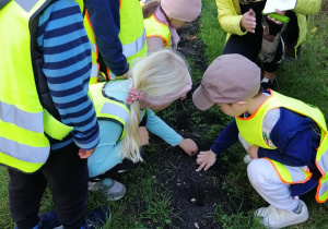 Dzieci spacerują po pobliskich ogródkach działkowych