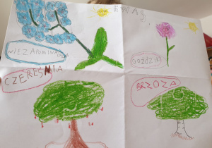 Rysunek dziecka -rośliny i kwiaty